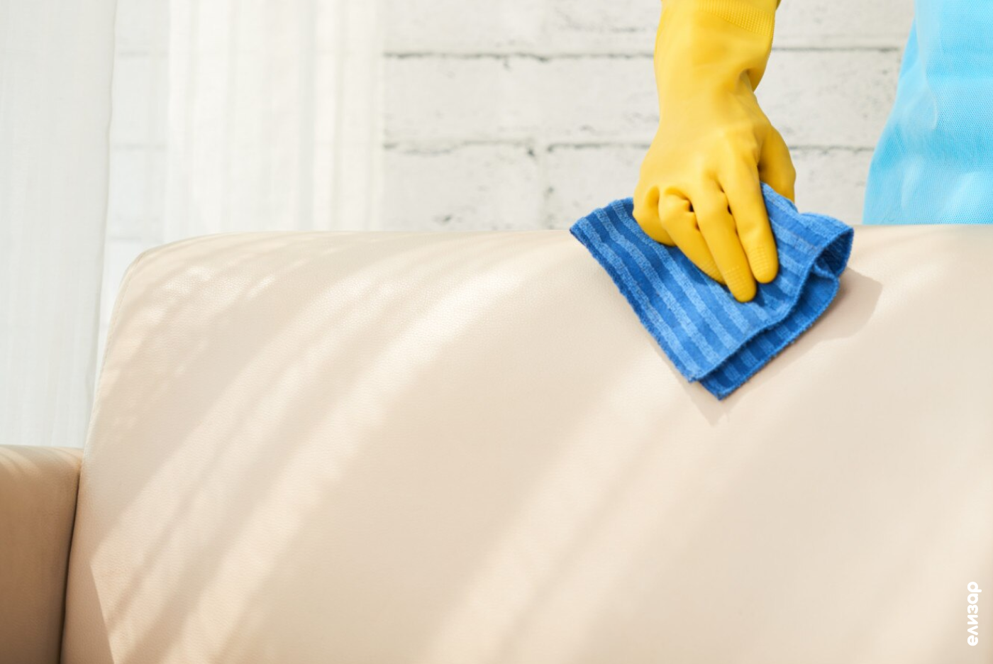 Видишь пятно – не теряй времени!