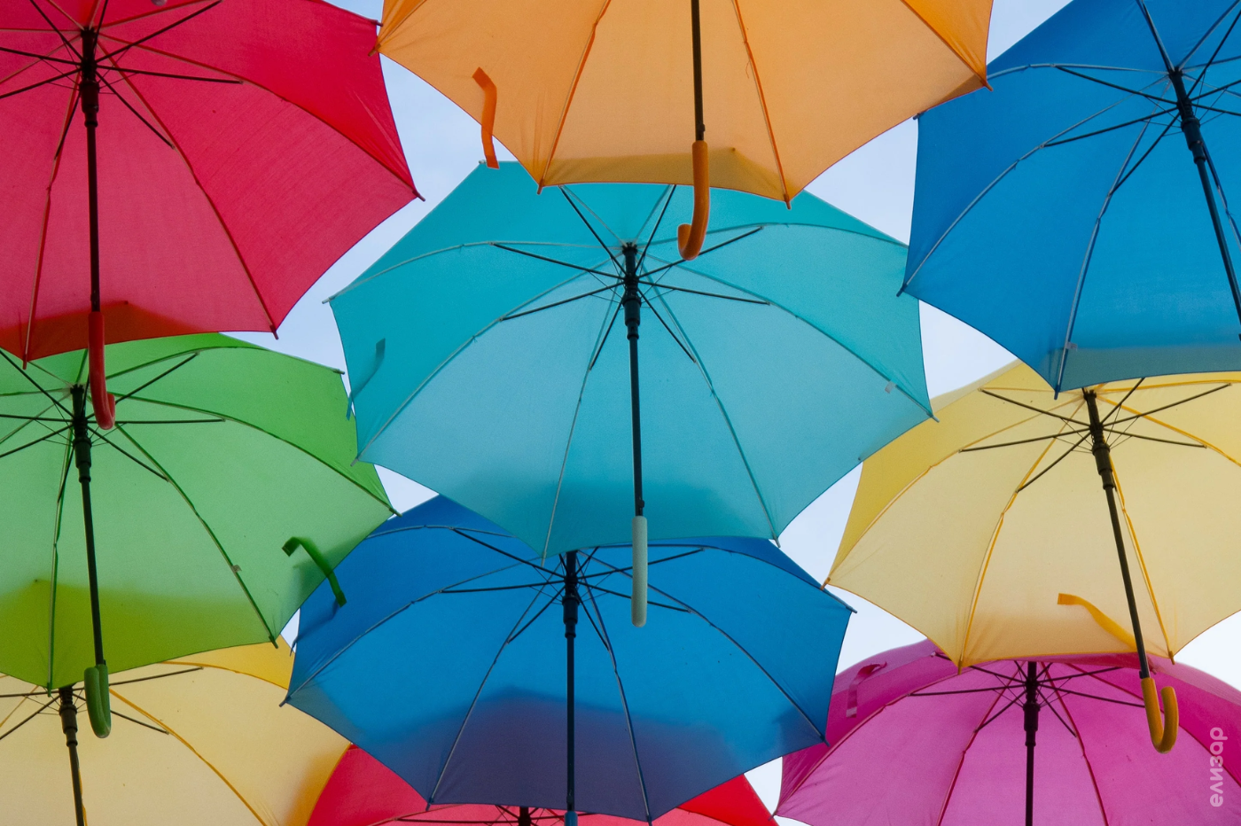 Рекомендации по уходу за зонтами разного цвета