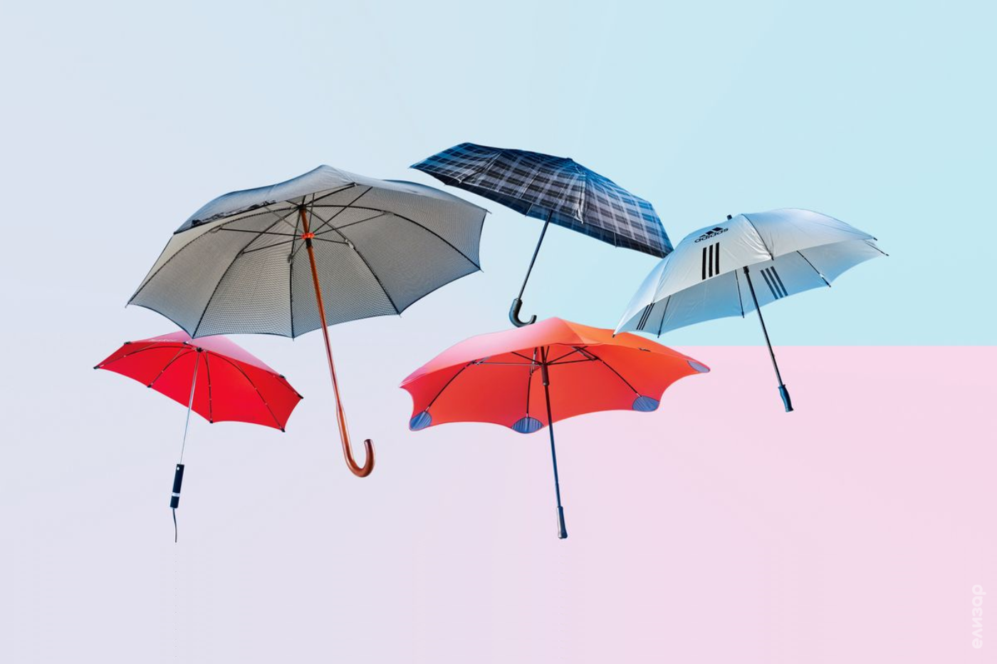 Виды зонтов и их особенности