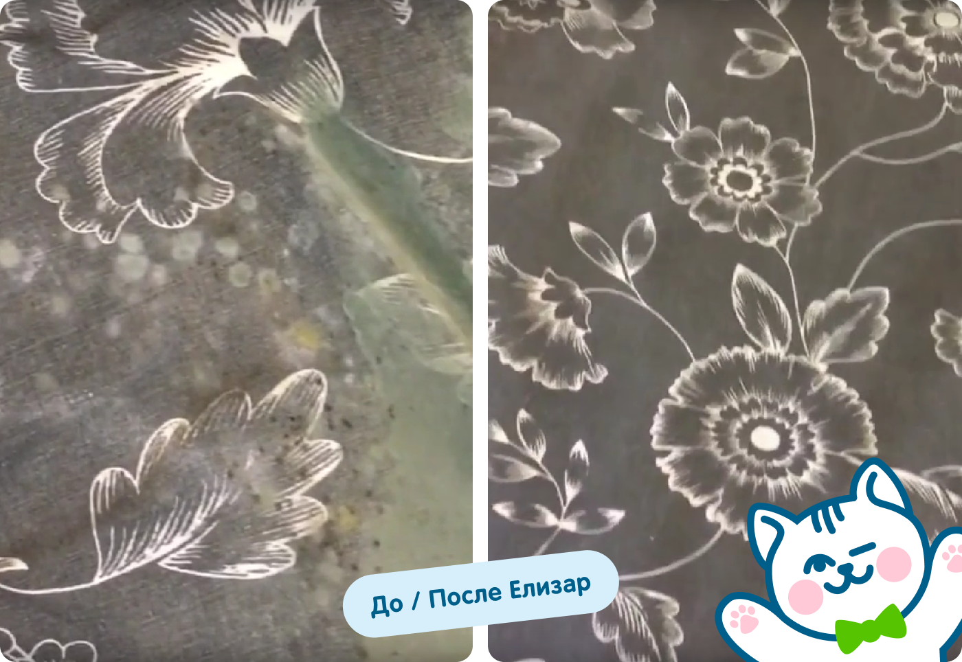 До/после плесень