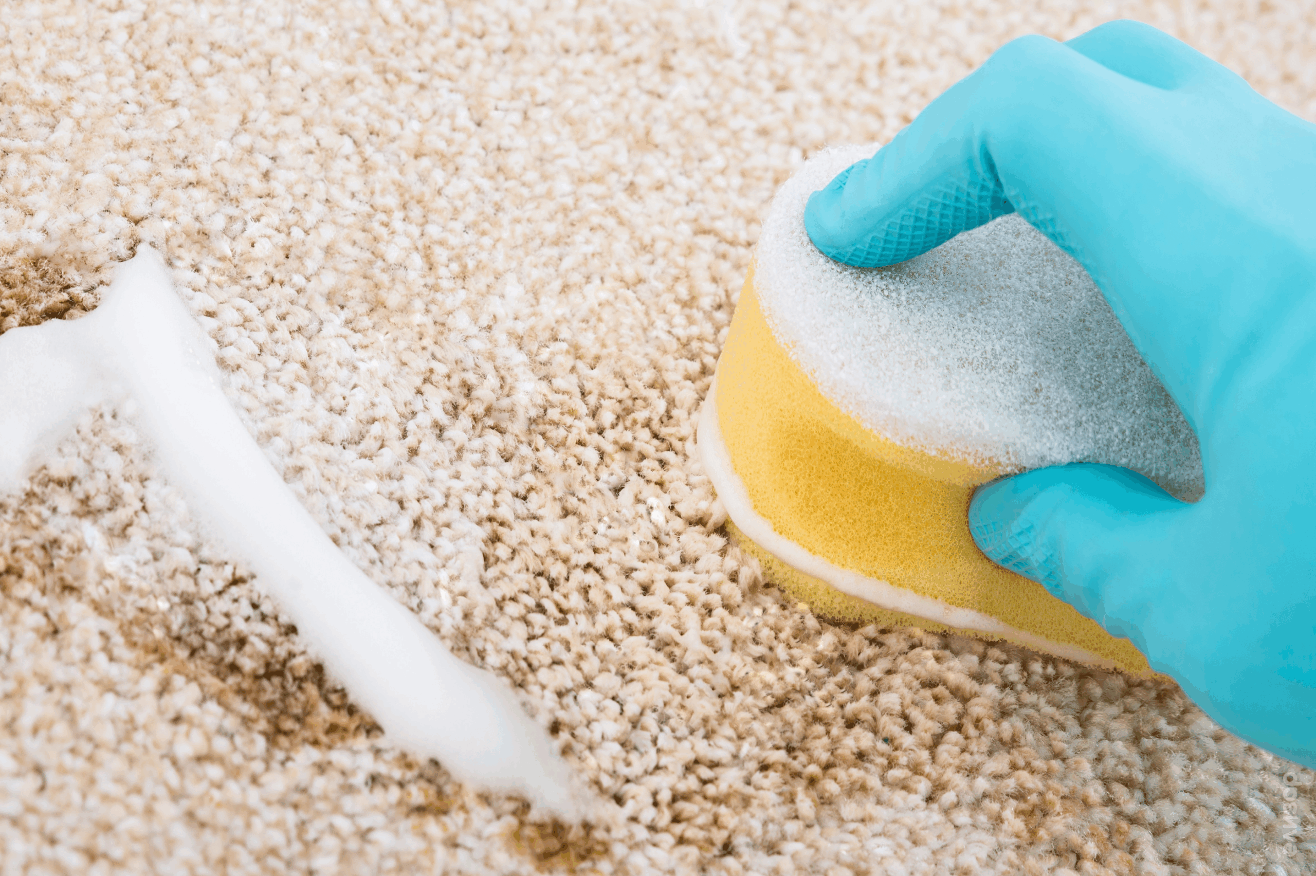 Как правильно почистить ковер